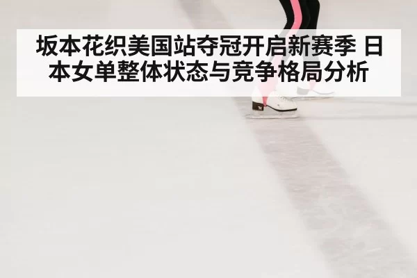 ice skating rink performance
