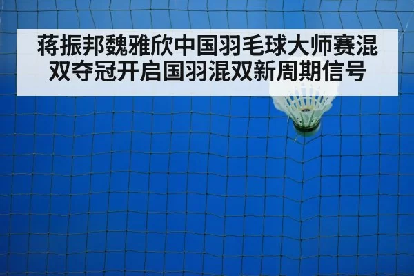 badminton net play