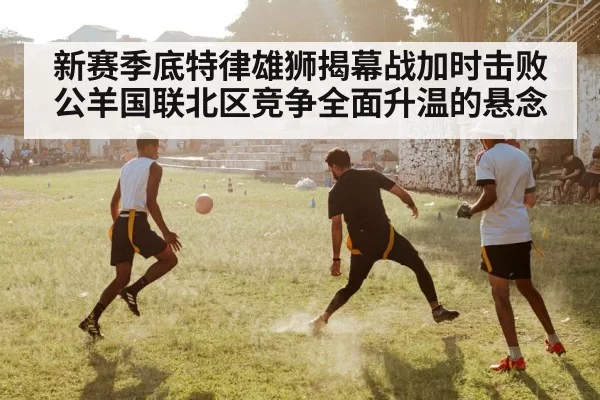 nfl football competition